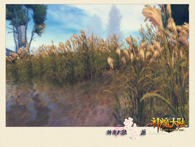 图片: 图7：秋天的芦苇随风摆动.jpg
